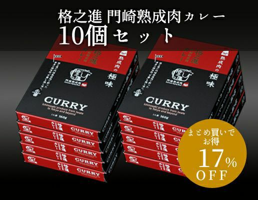 格之進 門崎熟成肉カレー 10個セット