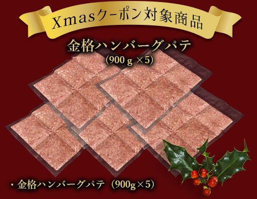 Xmasクーポン対象商品｜ハンバーグパテ（900g）×5個セット